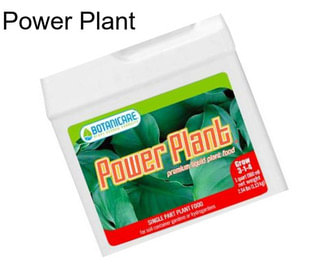 Power Plant