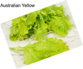 Australian Yellow