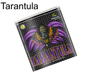 Tarantula