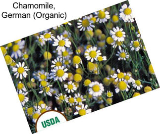 Chamomile, German (Organic)