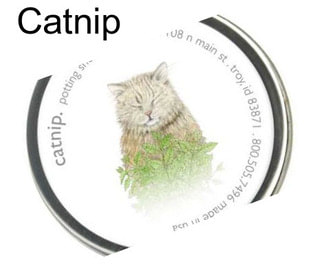 Catnip