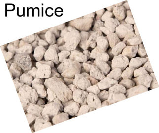 Pumice