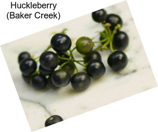 Huckleberry (Baker Creek)