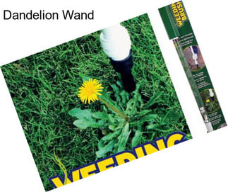 Dandelion Wand