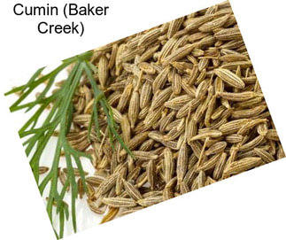 Cumin (Baker Creek)