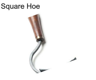 Square Hoe