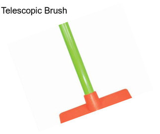 Telescopic Brush