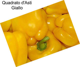 Quadrato d\'Asti Giallo