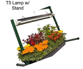 T5 Lamp w/ Stand