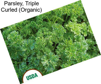 Parsley, Triple Curled (Organic)