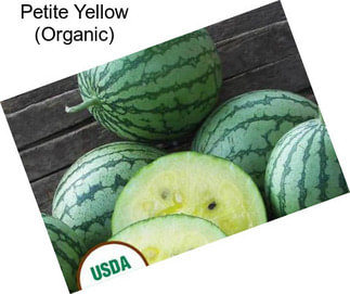 Petite Yellow (Organic)