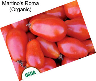 Martino\'s Roma (Organic)