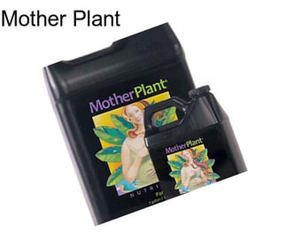 Mother Plant