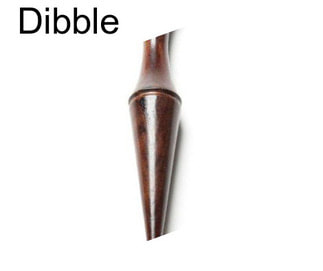 Dibble