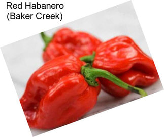 Red Habanero (Baker Creek)