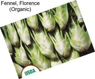 Fennel, Florence (Organic)