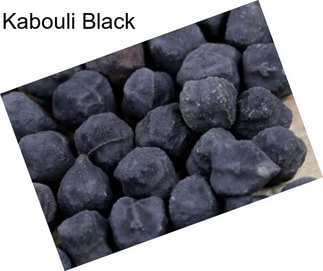 Kabouli Black