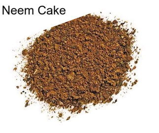 Neem Cake