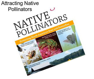 Attracting Native Pollinators