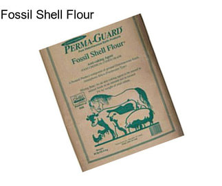 Fossil Shell Flour