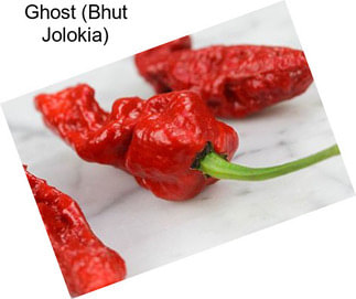 Ghost (Bhut Jolokia)