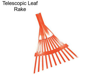 Telescopic Leaf Rake