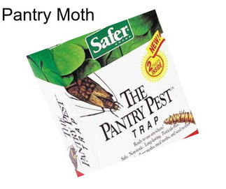 Pantry Moth