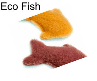 Eco Fish