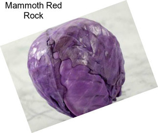 Mammoth Red Rock