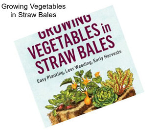 Growing Vegetables in Straw Bales