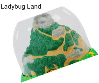 Ladybug Land