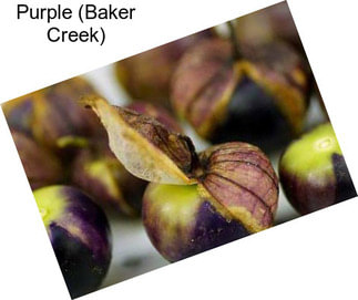 Purple (Baker Creek)