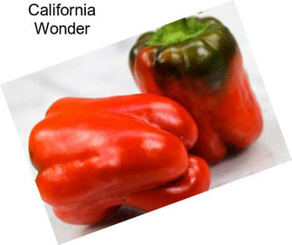 California Wonder