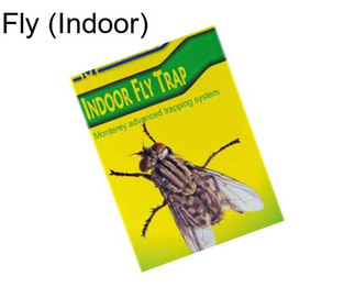 Fly (Indoor)