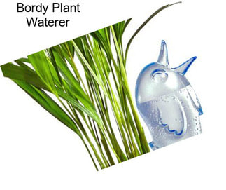 Bordy Plant Waterer