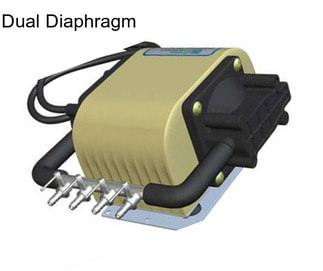 Dual Diaphragm