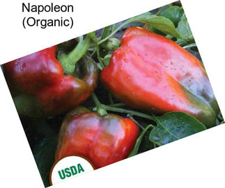 Napoleon (Organic)