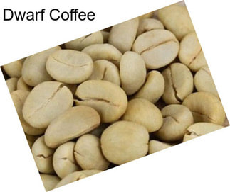 Dwarf Coffee