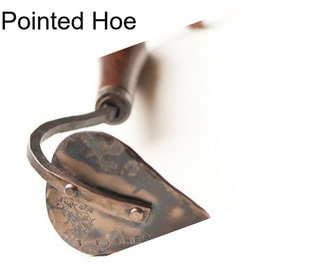 Pointed Hoe