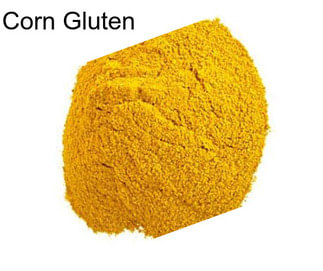 Corn Gluten