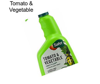 Tomato & Vegetable