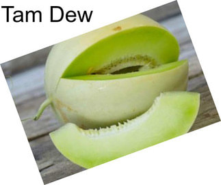 Tam Dew