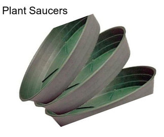 Plant Saucers