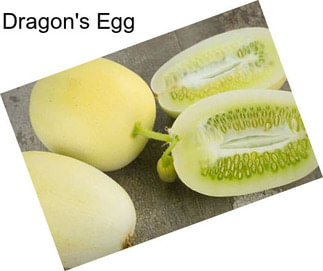 Dragon\'s Egg