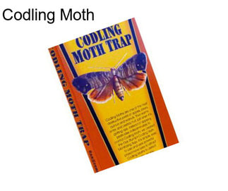 Codling Moth