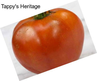 Tappy\'s Heritage