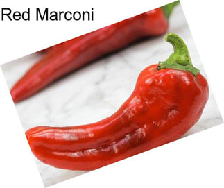 Red Marconi
