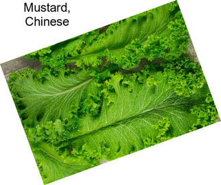 Mustard, Chinese