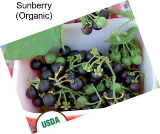 Sunberry (Organic)