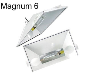 Magnum 6